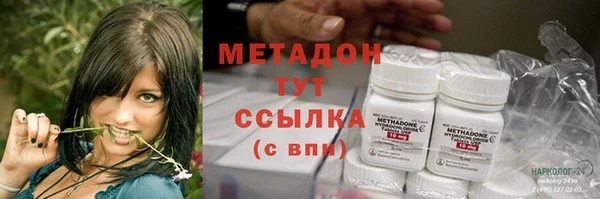 PSILOCYBIN Балабаново