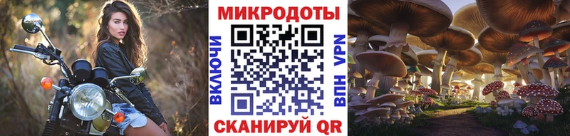 мориарти формула где купить наркоту Кущёвская Псилоцибиновые грибы мицелий