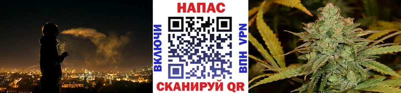 дарк нет телеграм  купить   Кущёвская  Бошки марихуана семена 